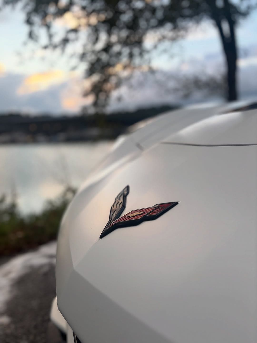 Detailed Corvette exterior, Cumming GA