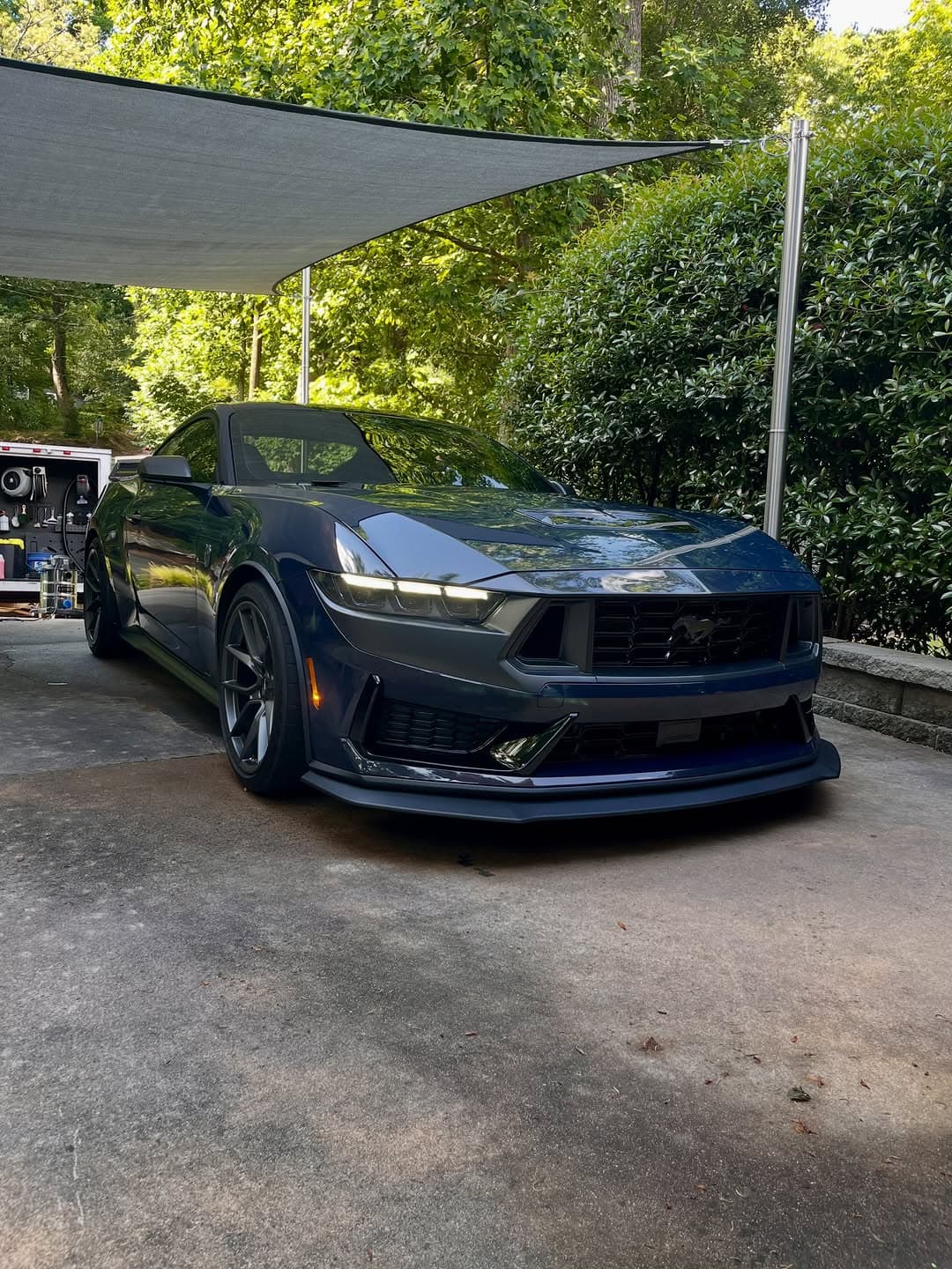 Paint correction on a mustang dark horse, Cumming GA